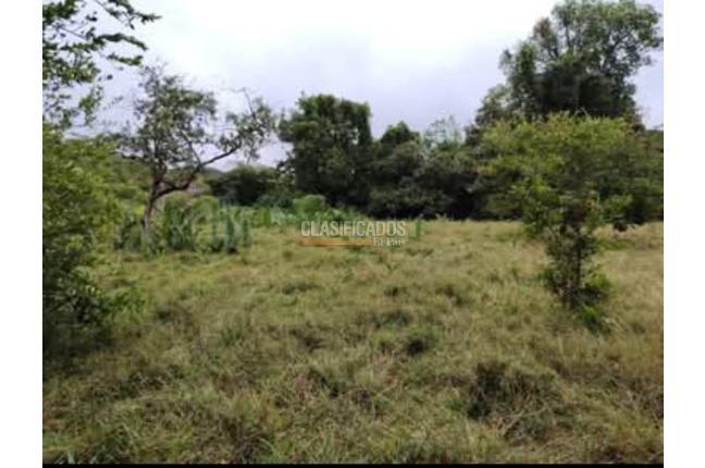 Fincas y Casas Campestres, Venta, Suarez