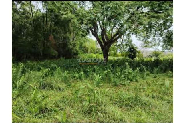 Fincas y Casas Campestres, Venta, Suarez