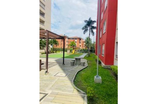 Apartamentos, Alquiler en La Flora