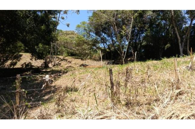 Lotes, Venta en La Buitrera