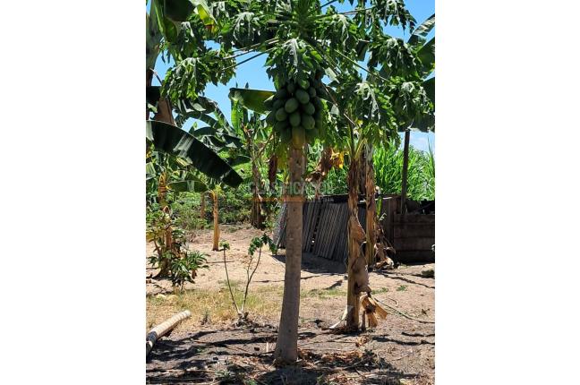 Fincas y Casas Campestres, Venta, Florida - $599.000.000
