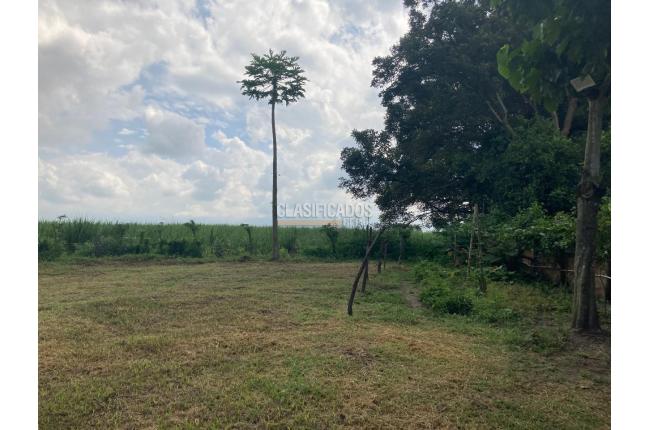 Fincas y Casas Campestres, Venta, Florida - $599.000.000