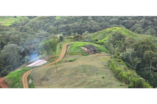 Lotes, Venta en Dagua