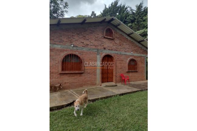 Fincas y Casas Campestres, Venta, La Castilla - $250.000.000