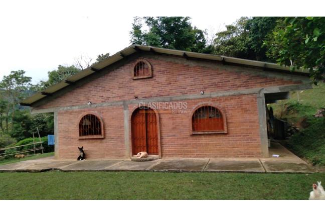 Fincas y Casas Campestres, Venta, La Castilla - $250.000.000