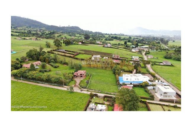 Lotes, Venta, La Calera - $290.000.000