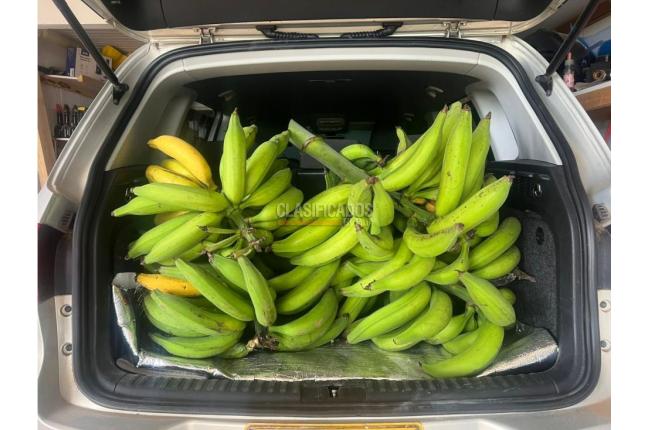 Fincas y Casas Campestres, Venta en Dagua