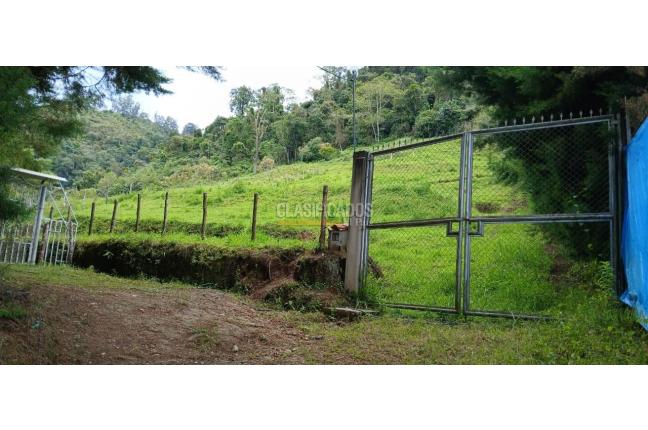 Lotes, Venta, Calima (Darién) - $430.000.000