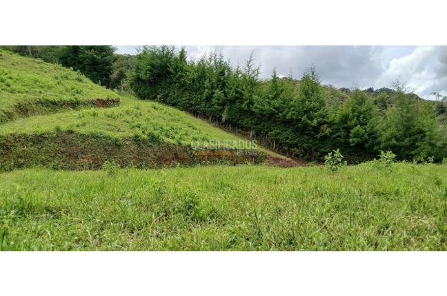 Lotes, Venta, Calima (Darién) - $430.000.000