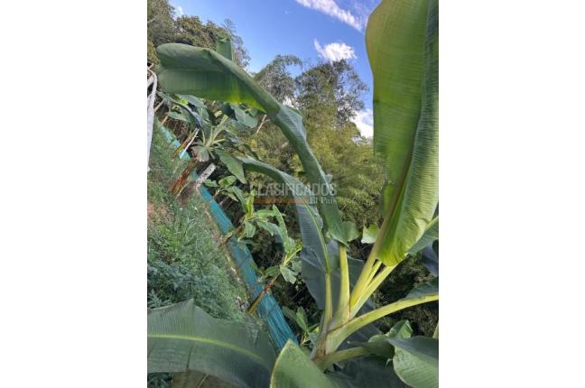Fincas y Casas Campestres, Venta, La Cumbre - $500.000.000