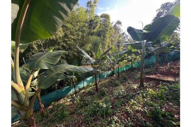 Fincas y Casas Campestres, Venta, La Cumbre - $500.000.000
