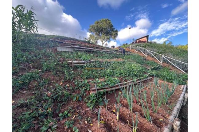 Fincas y Casas Campestres, Venta, La Cumbre - $500.000.000