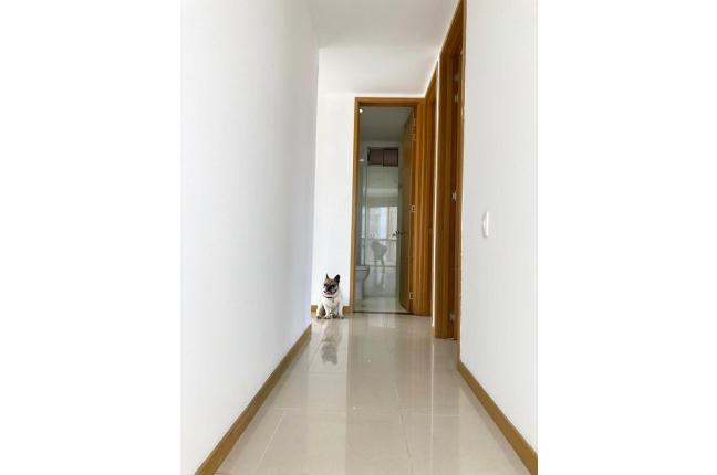 Apartamentos, Alquiler, Ciudad Jardín