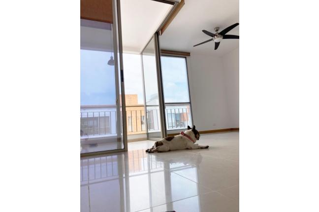 Apartamentos, Alquiler, Ciudad Jardín