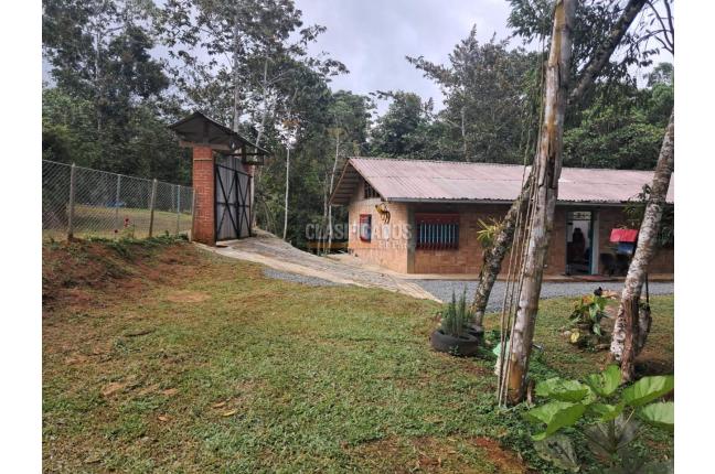 Fincas y Casas Campestres, Venta, Dagua - $320.000.000