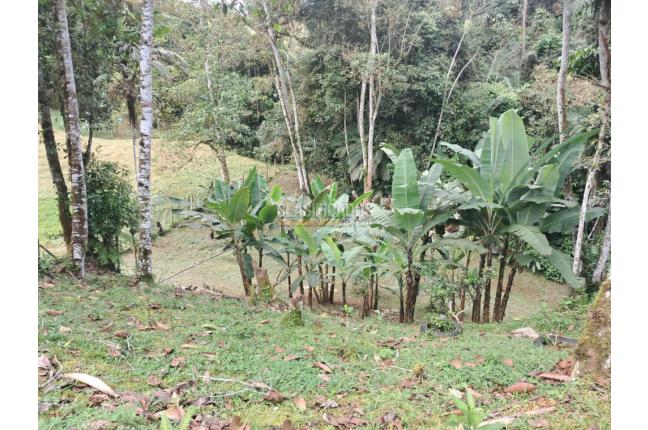 Fincas y Casas Campestres, Venta, Dagua - $320.000.000