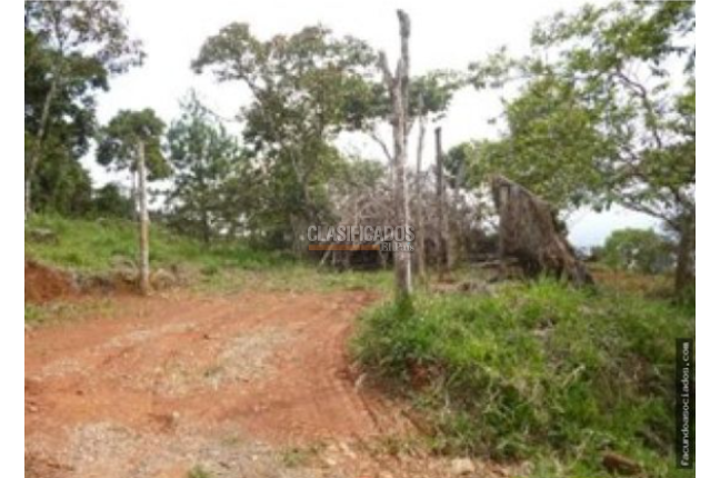 Lotes, Venta, Cristo Rey - $2.500.000.000