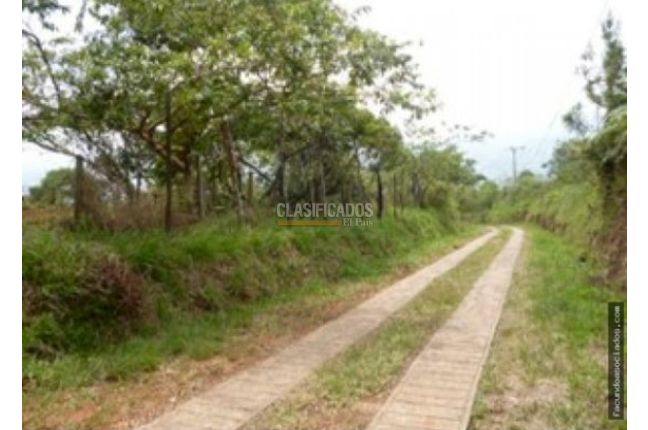 Lotes, Venta, Cristo Rey - $2.500.000.000