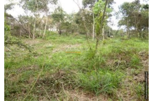 Lotes, Venta, Cristo Rey - $2.500.000.000