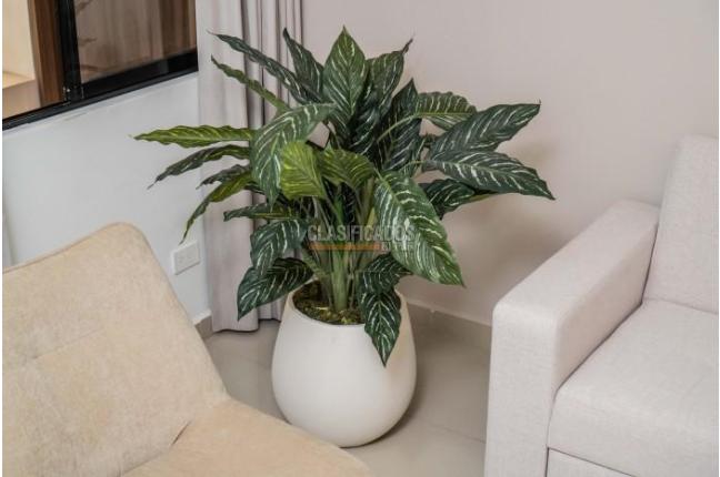 Apartaestudios, Alquiler, Ciudad Jardín - $3.500.000