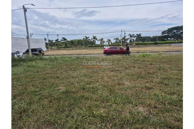 Lotes, Venta en Jardín de Potrerito