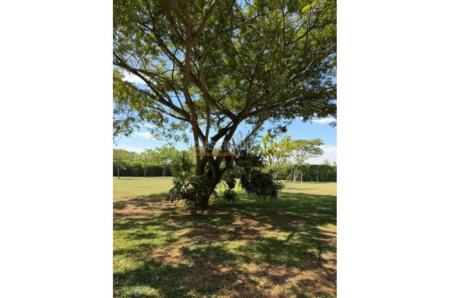 Casas, Alquiler, Pance - $16.000.000