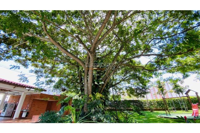 Apartamentos, Venta, La Hacienda - $220.000.000