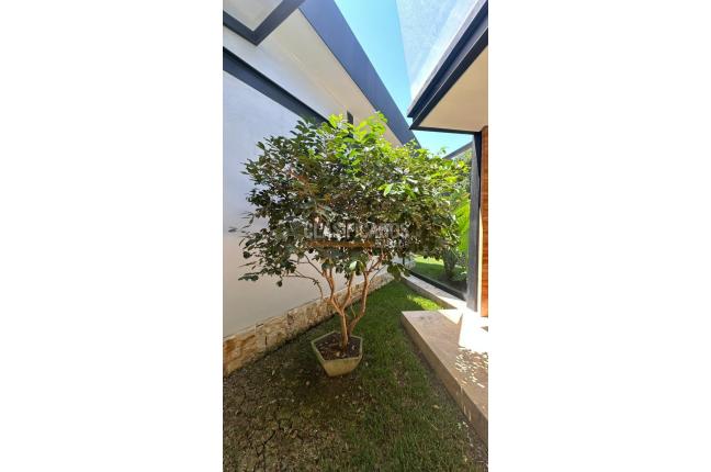 Casas, Alquiler, Jamundí - $18.000.000