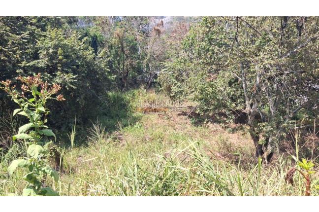 Lotes, Venta, Aguacatal - $2.500.000.000