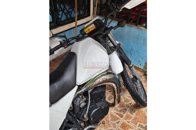 Suzuki TS 1999