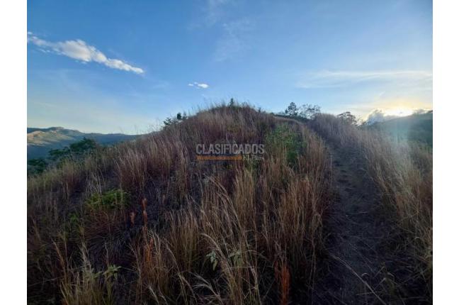 Lotes, Venta, Yumbo - $700.000.000