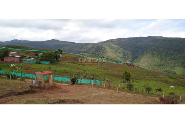 Fincas y Casas Campestres, Venta, Dagua - $320.000.000