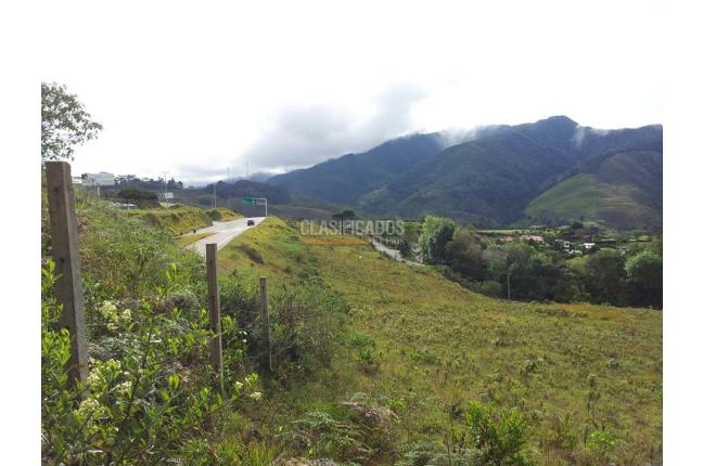 Lotes, Venta, Calima (Darién) - $2.860.000.000