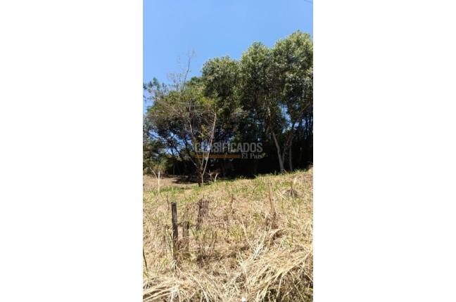 Lotes, Venta, La Buitrera - $350.000.000
