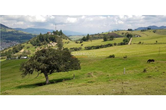 Lotes, Venta en La Calera