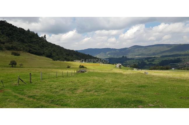 Lotes, Venta en La Calera