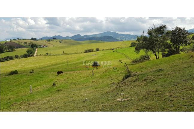 Lotes, Venta, La Calera - $2.218.590.000