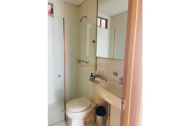 Apartamentos, Alquiler, Ciudad Jardín