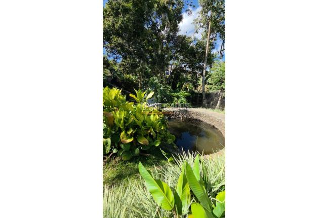 Fincas y Casas Campestres, Venta, Dagua - $1.200.000.000