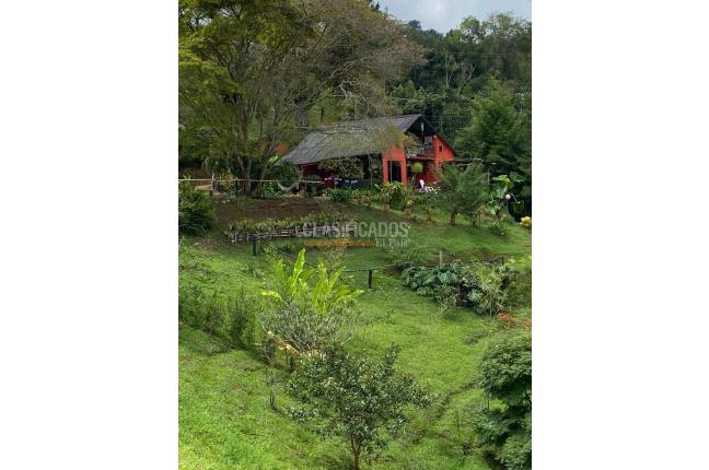 Fincas y Casas Campestres, Venta en Dagua