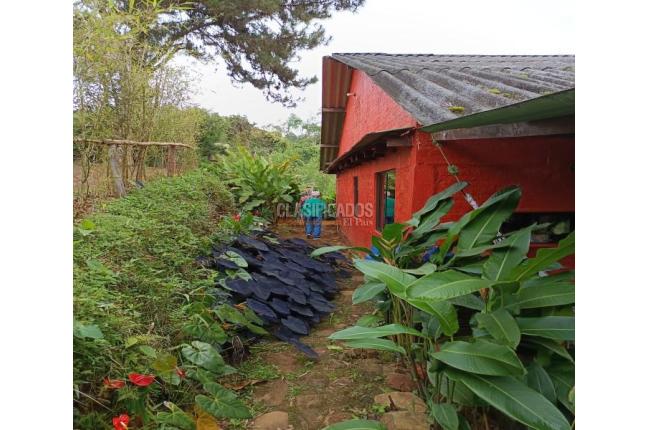 Fincas y Casas Campestres, Venta, Dagua - $300.000.000
