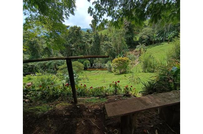 Fincas y Casas Campestres, Venta, Dagua - $300.000.000