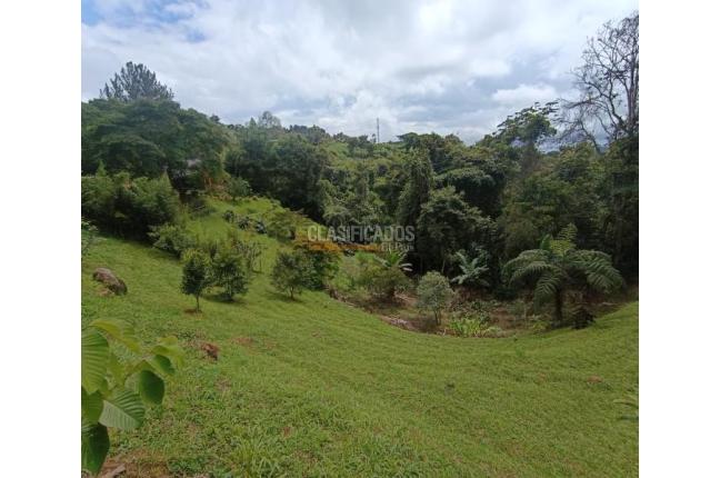 Fincas y Casas Campestres, Venta, Dagua - $300.000.000