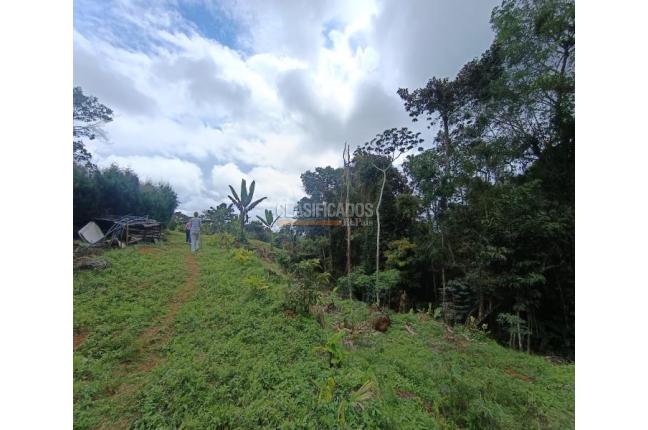Fincas y Casas Campestres, Venta, Dagua - $300.000.000