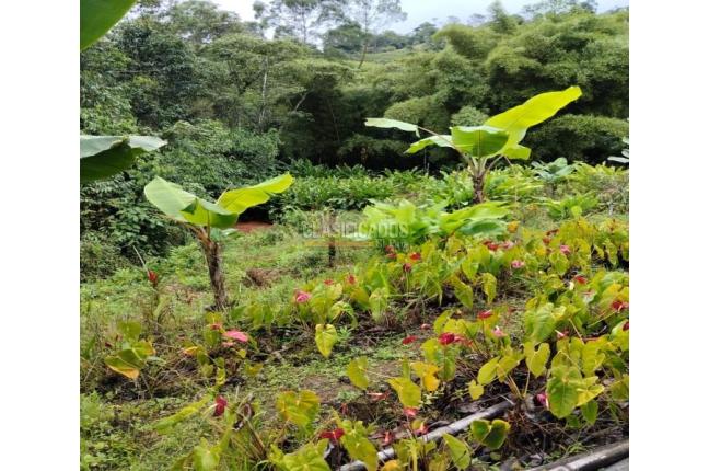 Lotes, Venta en Dagua