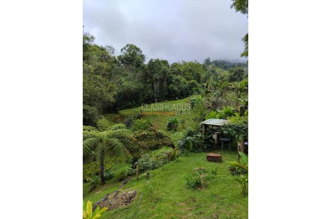 Lotes, Venta, Dagua - $150.000.000