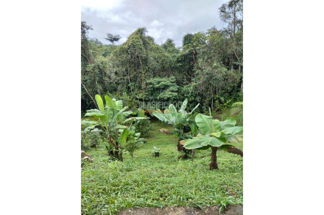 Lotes, Venta, Dagua - $150.000.000