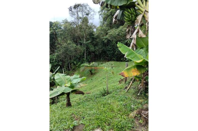 Lotes, Venta, Dagua - $150.000.000