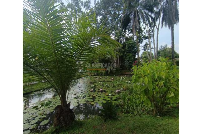 Lotes, Venta en Jamundí