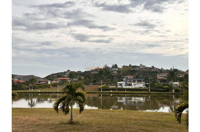 Lotes, Venta en Palmira